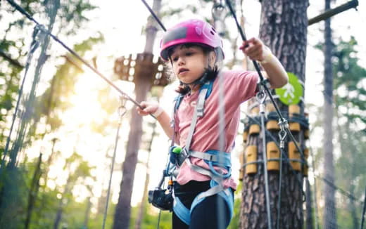 a young girl climbing a tree