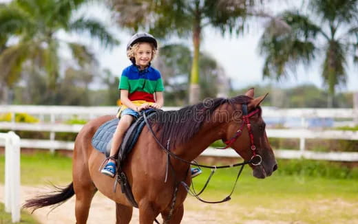 a child riding a horse
