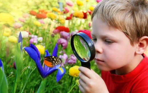 a child looking at a butterfly