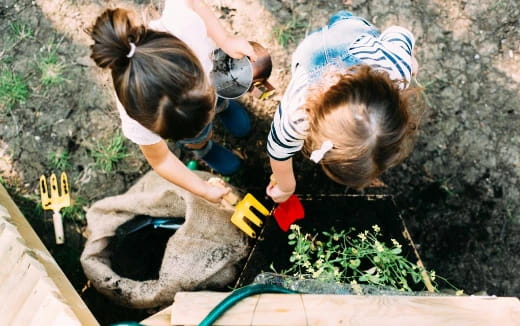a couple of young girls planting plants