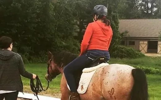 a person riding a horse