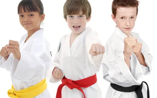 a group of boys in white karate uniforms