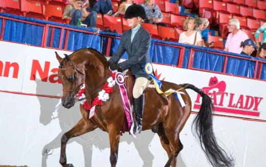 a person riding a horse in a competition