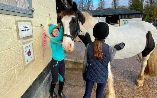 a couple of girls petting a horse