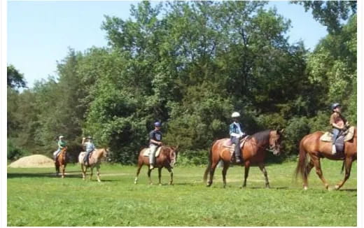 a group of people riding horses