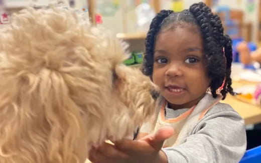 a little girl holding a dog