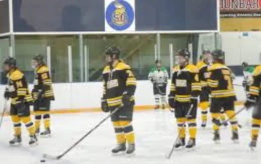 a group of hockey players on ice