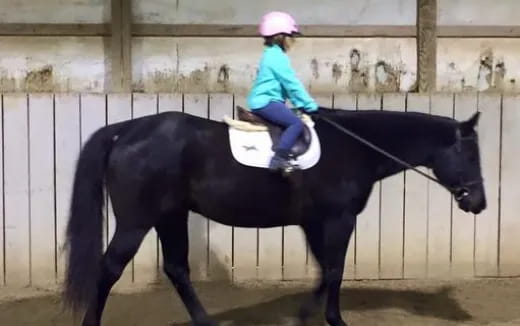 a girl riding a horse