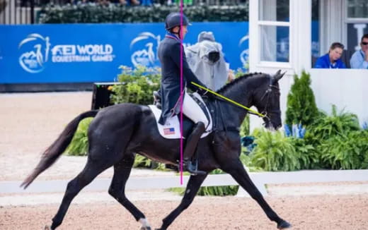 a jockey riding a horse