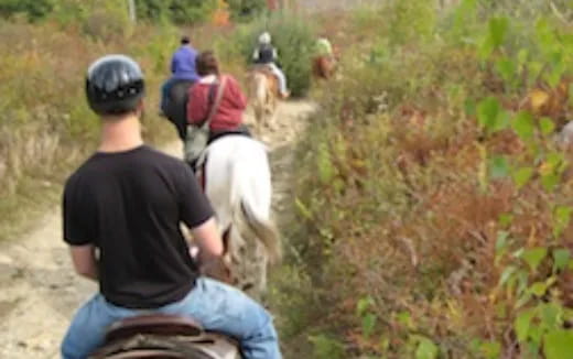 a group of people riding horses