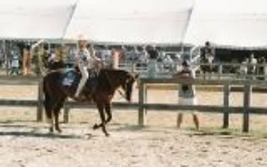 a person riding a horse in a rodeo