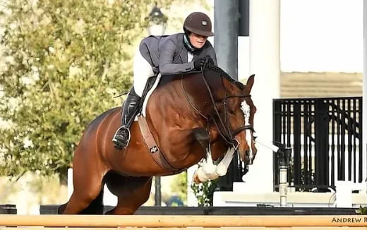 a person riding a horse