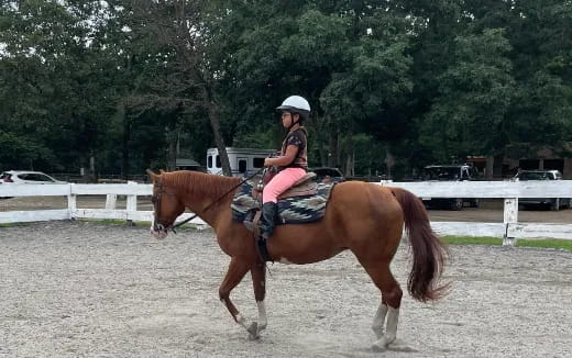 a person riding a horse