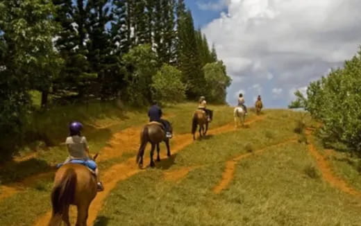 a group of people riding horses on a trail
