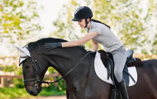 a person riding a horse