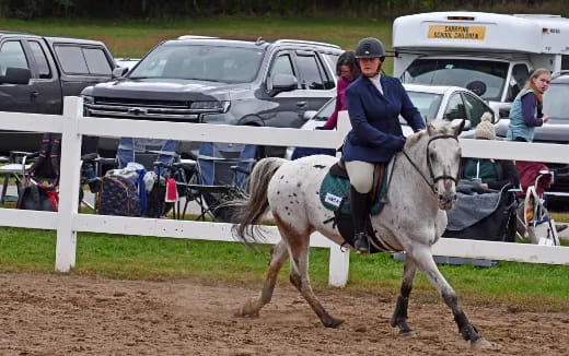 a person riding a horse