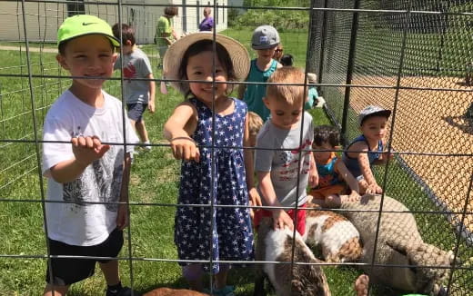 a group of kids with sheep