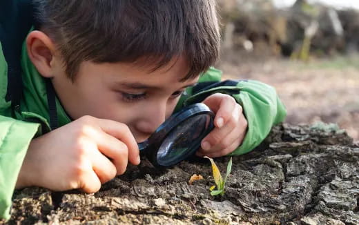 a young boy holding a plant