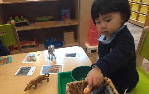 a child playing with toys