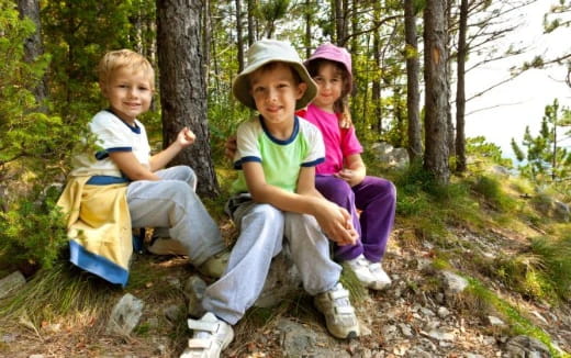a group of children sitting on a tree stump in the woods