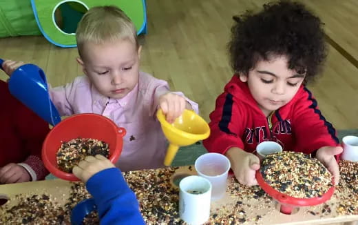 children making seeds in bowls