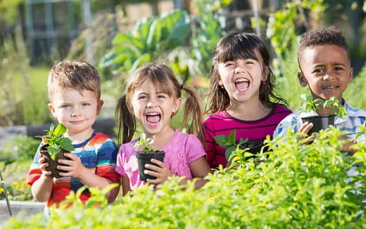 a group of kids playing in the grass