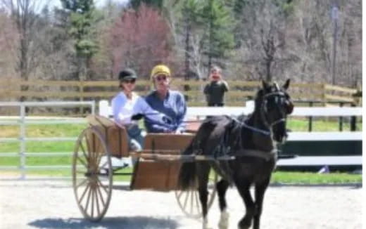 a couple of people ride in a horse carriage