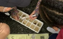 a group of people placing food in a container