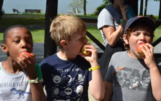 a group of boys eating apples