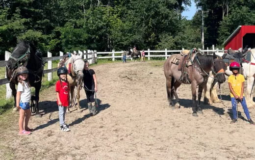 a group of people stand around some horses