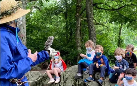 a group of kids sitting on a rock with a person holding a bird