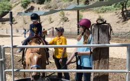 a group of people standing next to a horse and a fence