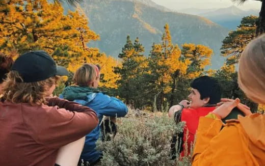 a group of people looking at a forest