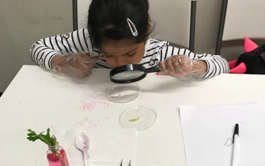 a child using a magnifying glass