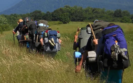 a group of people hiking