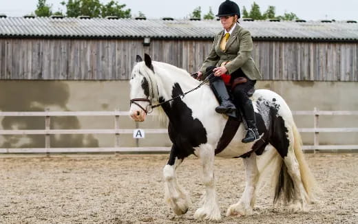 a man riding a horse