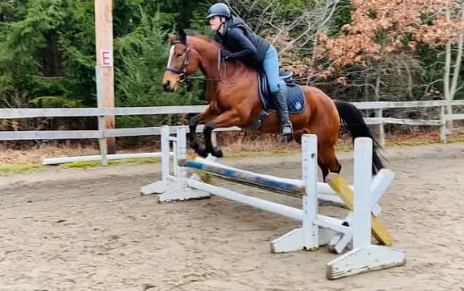 a man riding a horse over a jump