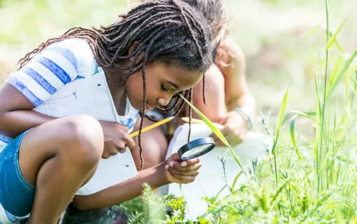 a person lying in the grass looking at the phone