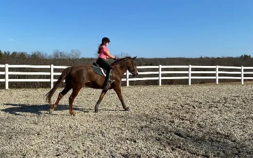 a person riding a horse