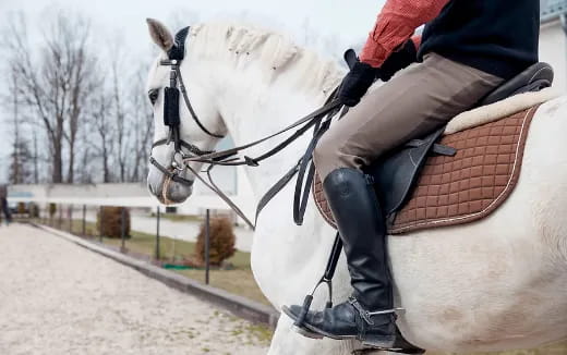 a person riding a horse