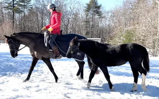 a person riding a horse next to a black horse