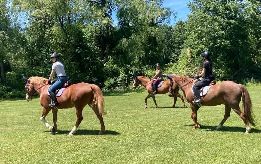 people riding horses in a field