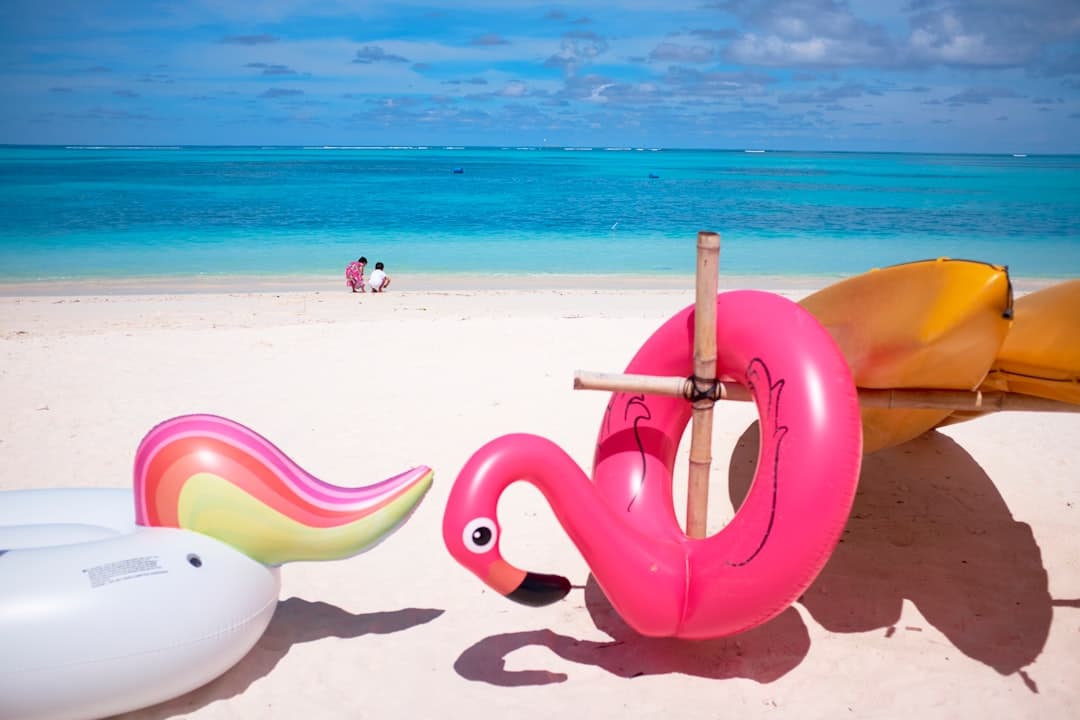 pink flamingo floater in front ocean