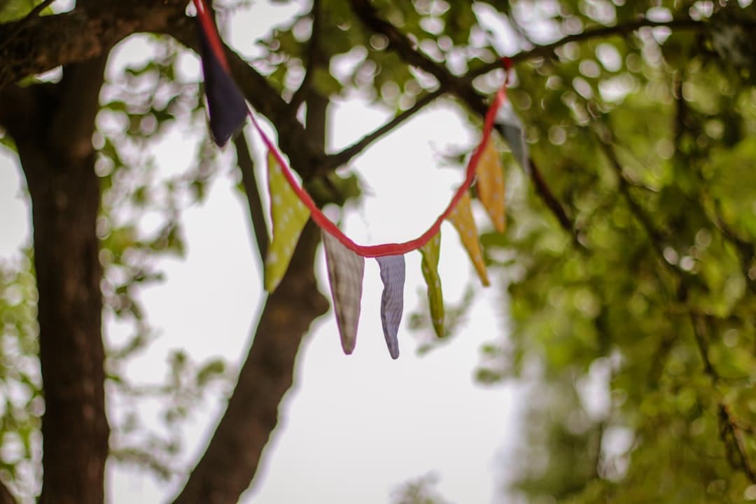 assorted-color buntings tied on tree