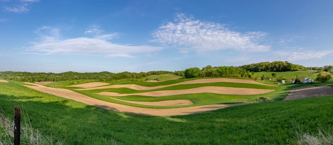 green grass field photograph