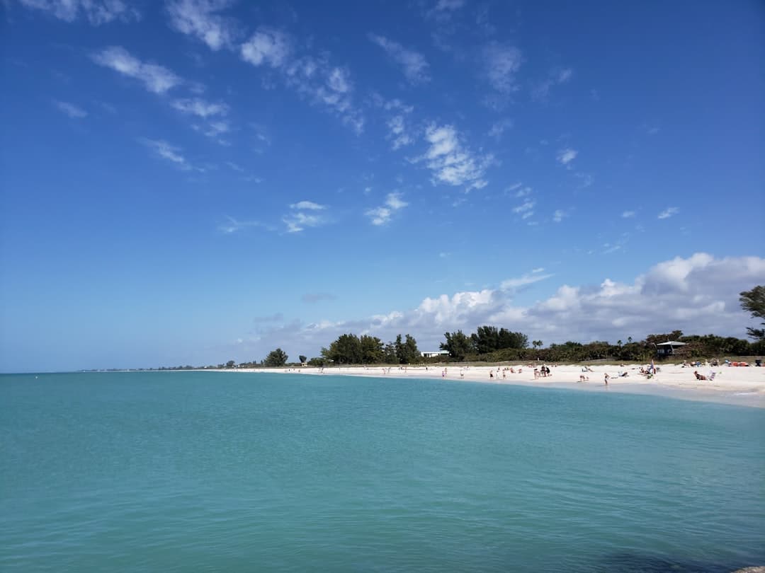 people on beach during daytime