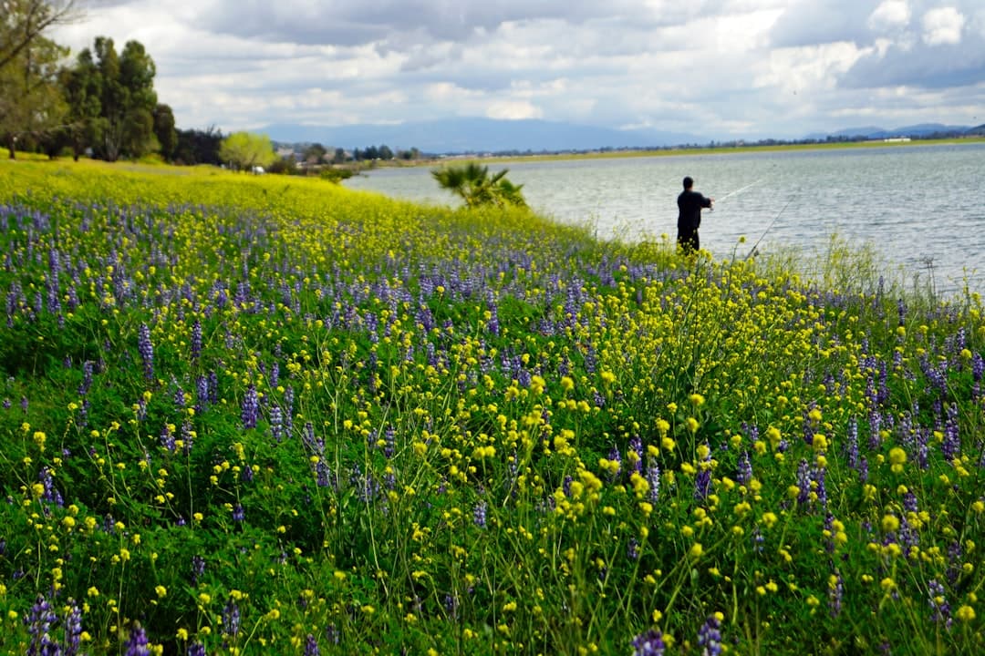 person in black jacket walking on yellow flower field during daytime