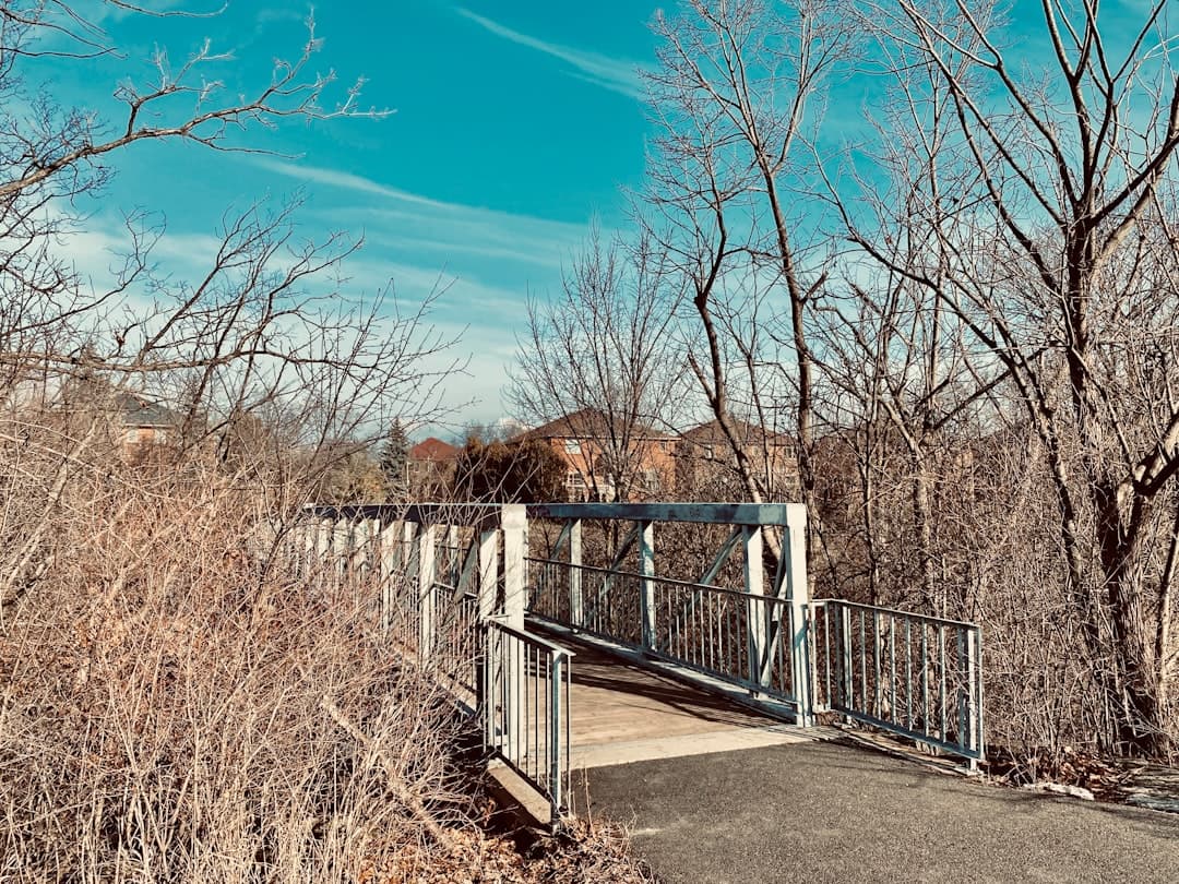 white wooden fence near bare trees under blue sky during daytime