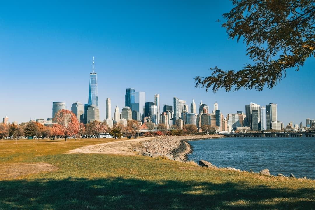 city skyline near body of water during daytime