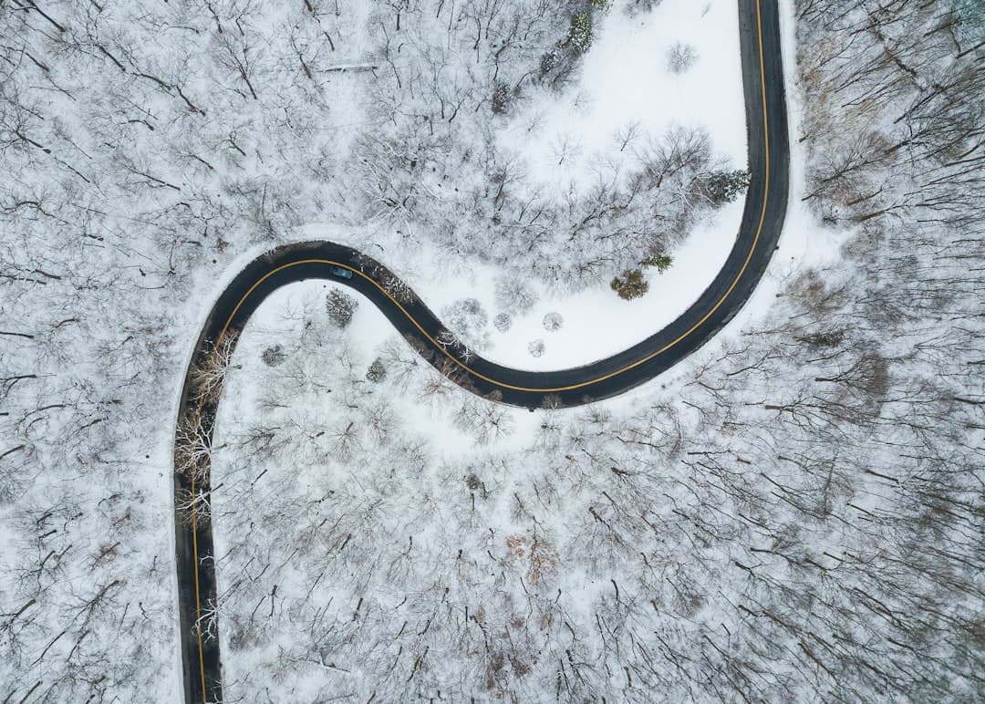 aerial view of road in the middle of snow covered trees